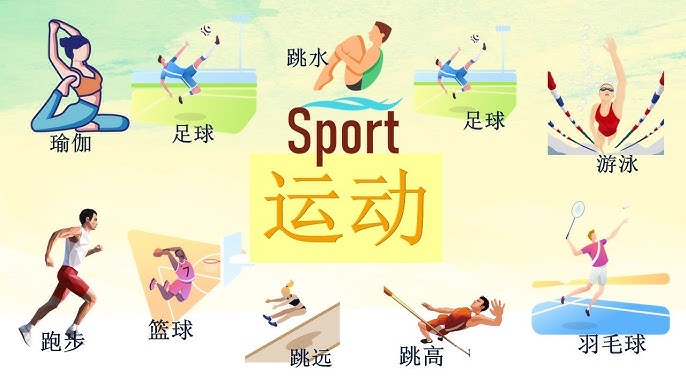 的站位